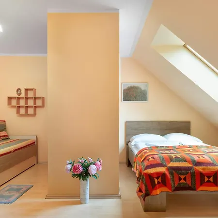 Two-level With Parking Near Downtown By Renters Karpacz